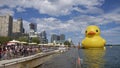 Ã¢â¬ÅRubber DuckÃ¢â¬Â floating placidly in the harbour of Toronto city. Inflatable Yellow Duck displayed in HTO Park in Toronto Royalty Free Stock Photo